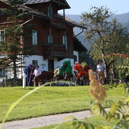 Gaestehaus Hoegerhof Hopfgarten im Brixental Zewnętrze zdjęcie
