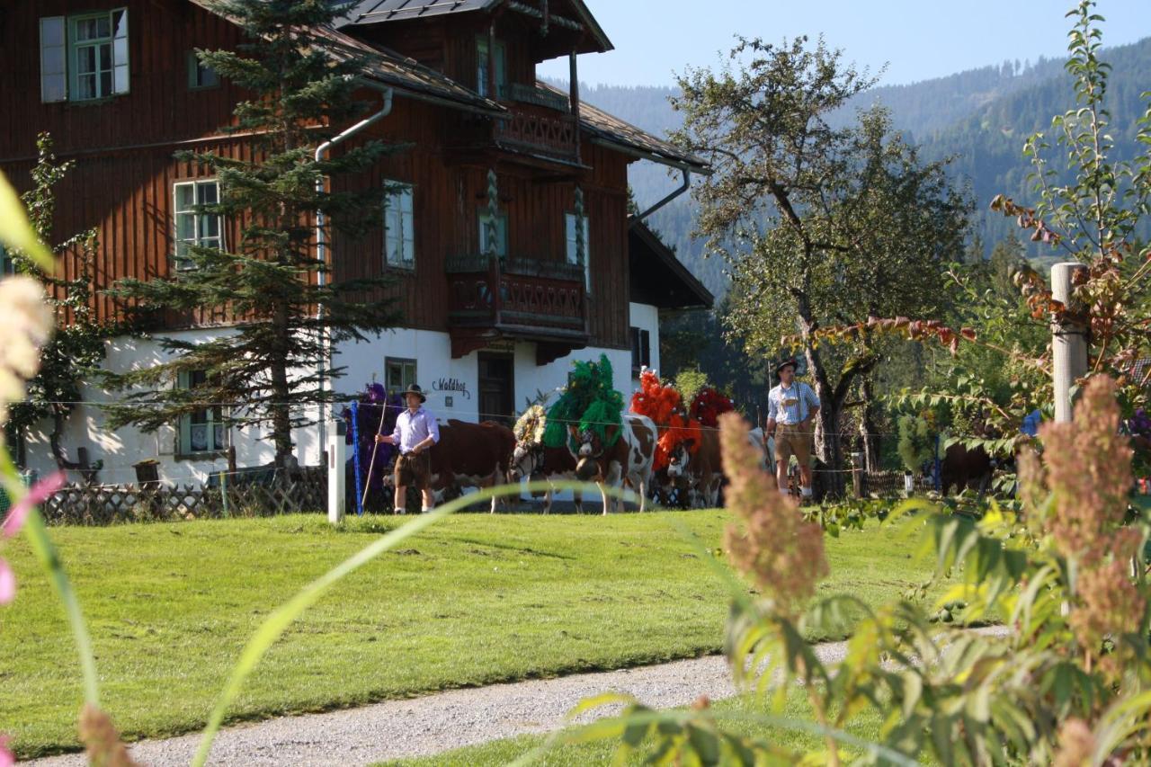 Gaestehaus Hoegerhof Hopfgarten im Brixental Zewnętrze zdjęcie